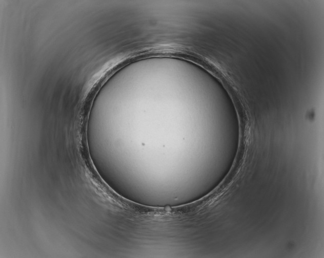 X0000116311410200912141348