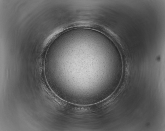 X0000116311411200912141348