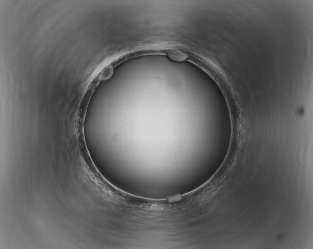 X0000116311412200912141348