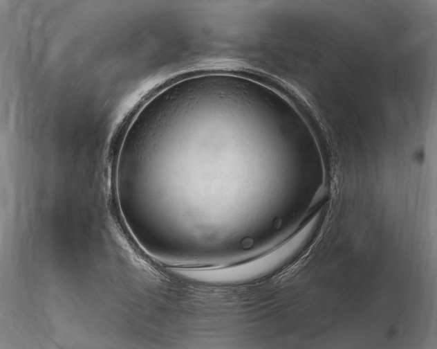 X0000116311414200912141348