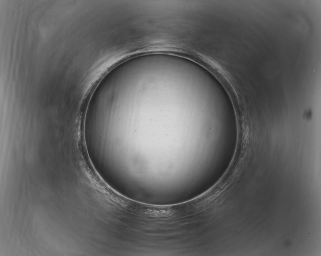 X0000116311415200912141348