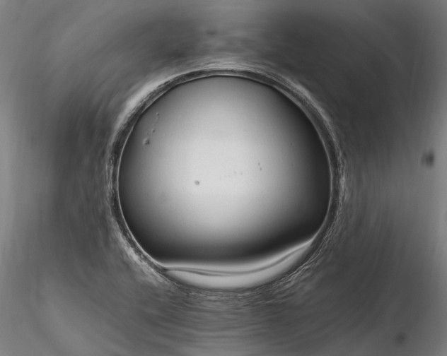 X0000116311416200912141348