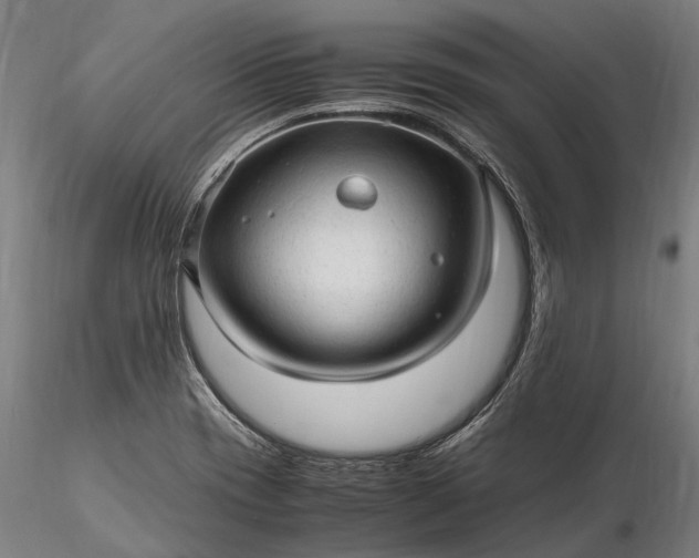 X0000116311417200912141348