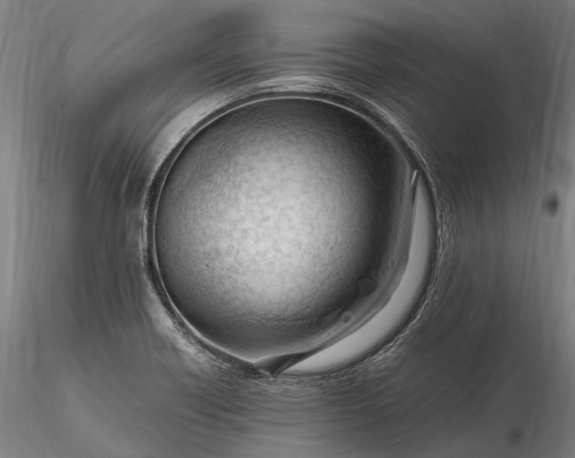 X0000116311418200912141348