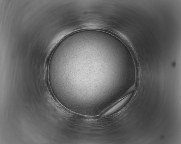 X0000116311419200912141348