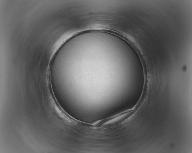 X0000116311421200912141348