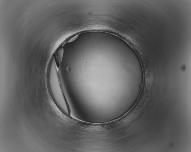 X0000116311422200912141348