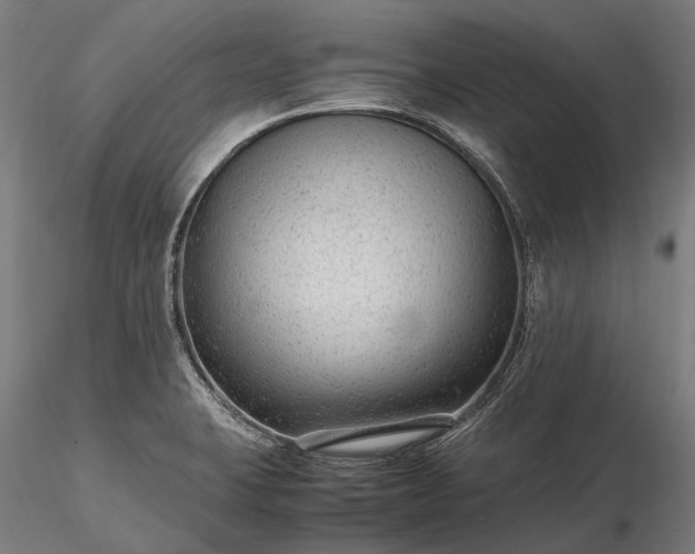 X0000116311423200912141348