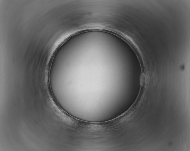 X0000116311424200912141348