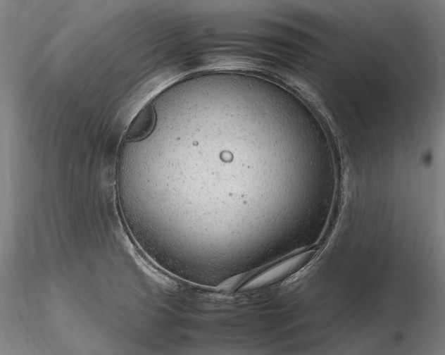 X0000116311425200912141348