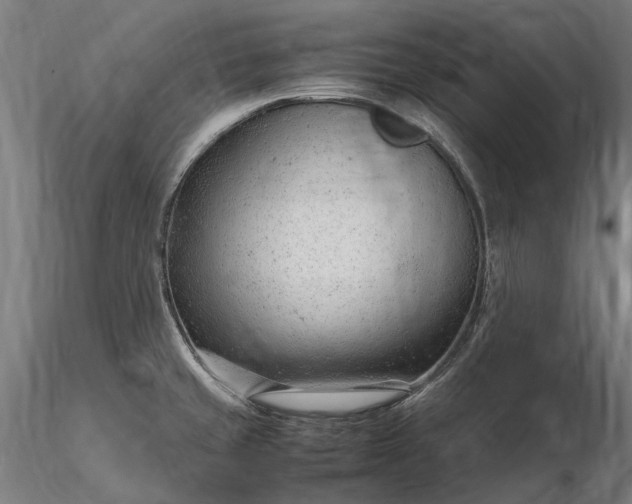 X0000116311429200912141348