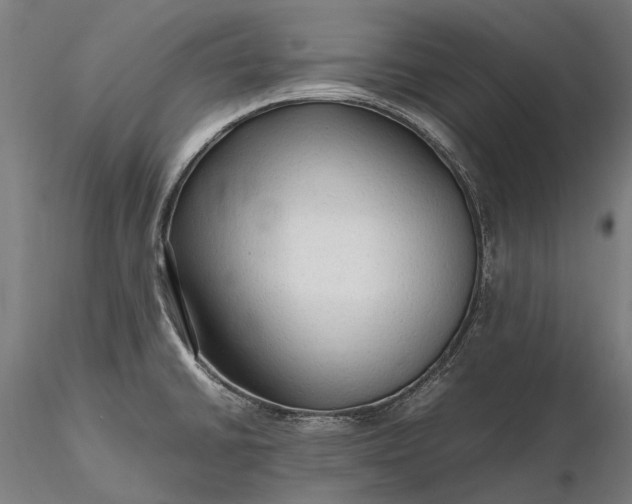 X0000116311430200912141348