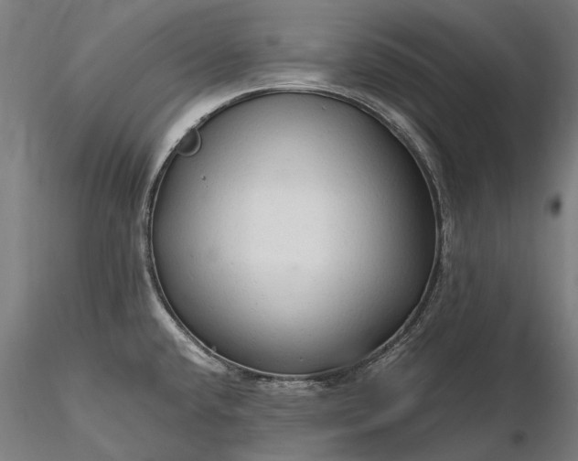 X0000116311432200912141348