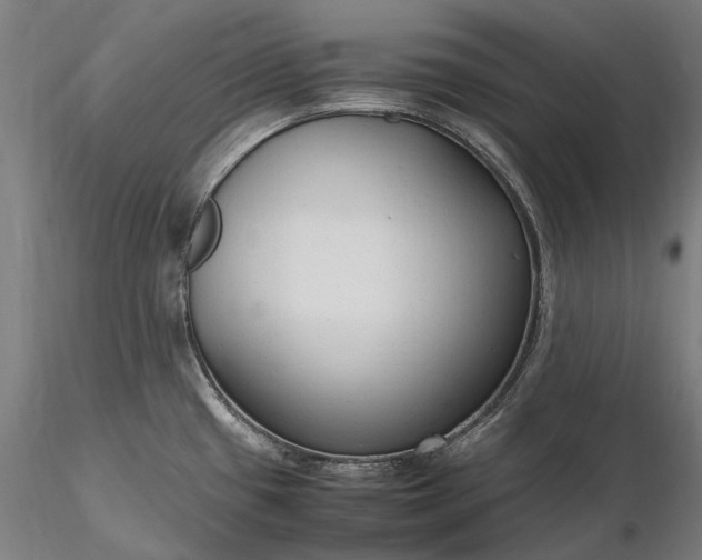 X0000116311433200912141348