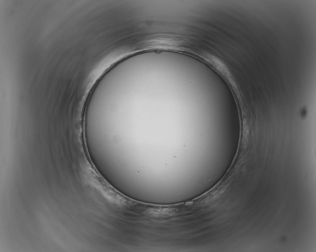 X0000116311435200912141348