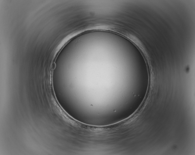 X0000116311436200912141348