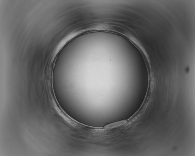 X0000116311437200912141348