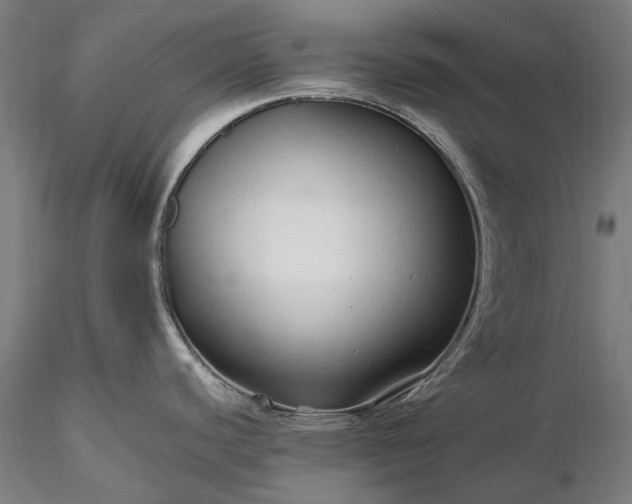 X0000116311440200912141348