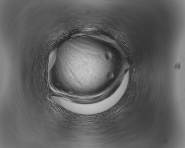 X0000116311441200912141347