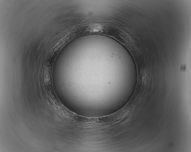 X0000116311442200912141347