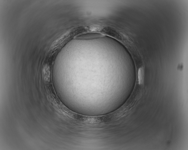 X0000116311443200912141347