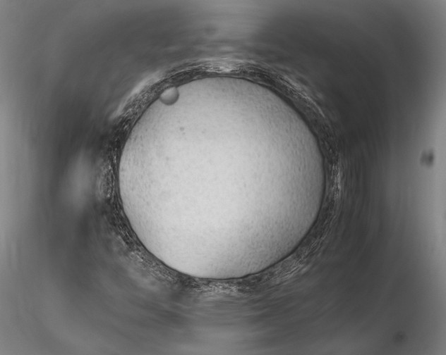 X0000116311446200912141347