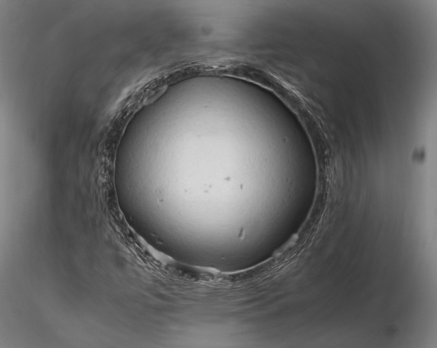 X0000116311447200912141347