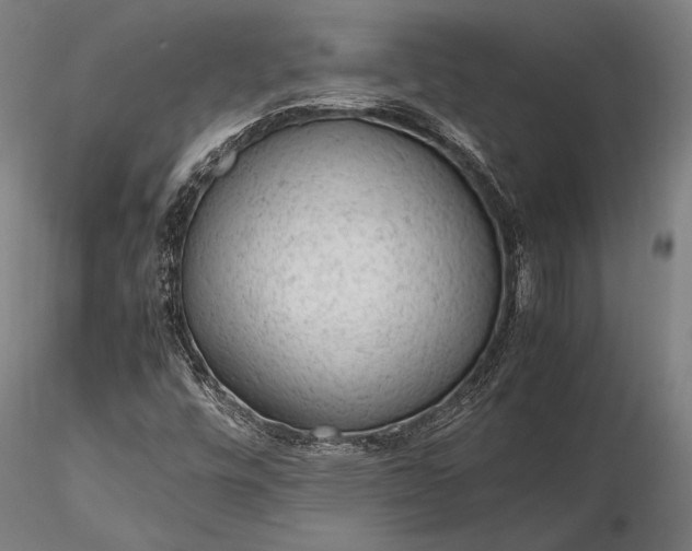 X0000116311448200912141347