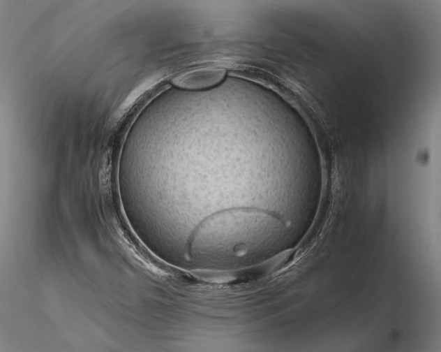 X0000116311450200912141347