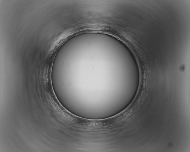 X0000116311451200912141347