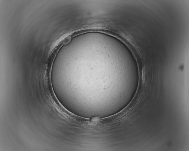 X0000116311452200912141347