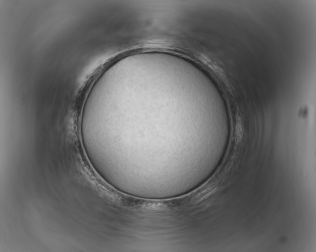 X0000116311454200912141347