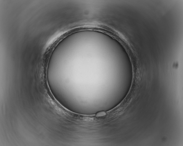 X0000116311456200912141347