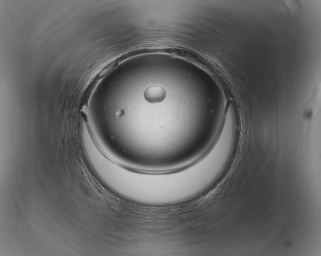 X0000116311457200912141347