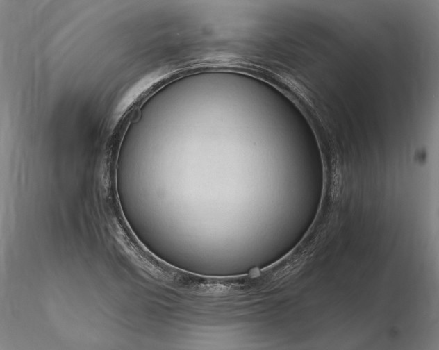 X0000116311458200912141347