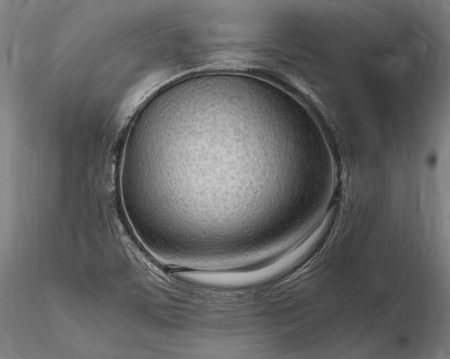 X0000116311459200912141347