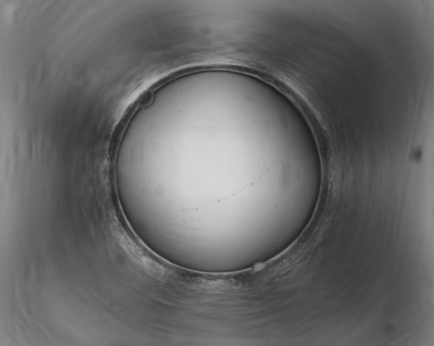 X0000116311460200912141347