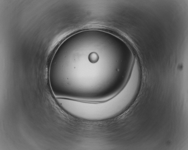 X0000116311461200912141347