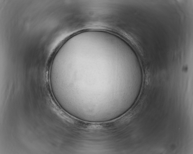 X0000116311462200912141347