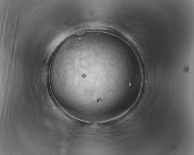 X0000116311463200912141347