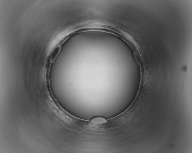 X0000116311464200912141347