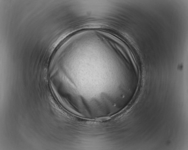 X0000116311465200912141347