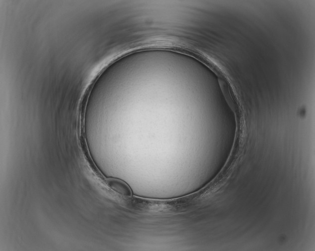 X0000116311467200912141347