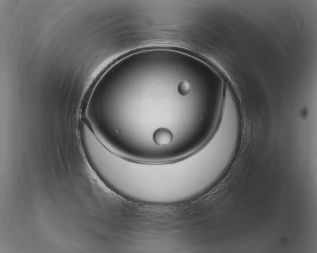 X0000116311468200912141347