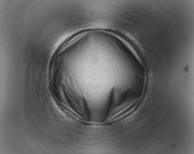 X0000116311469200912141347