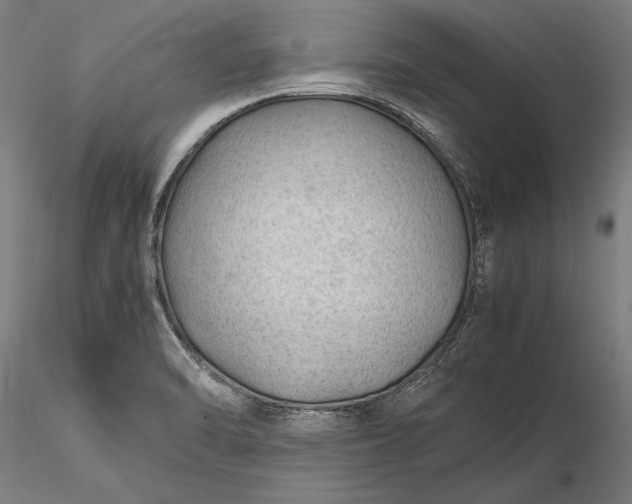 X0000116311470200912141347