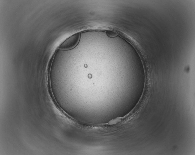 X0000116311471200912141347