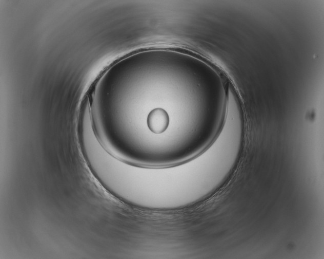 X0000116311472200912141347