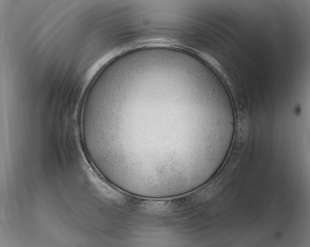 X0000116311474200912141347