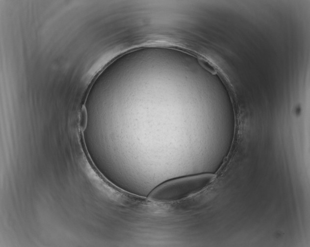 X0000116311476200912141347